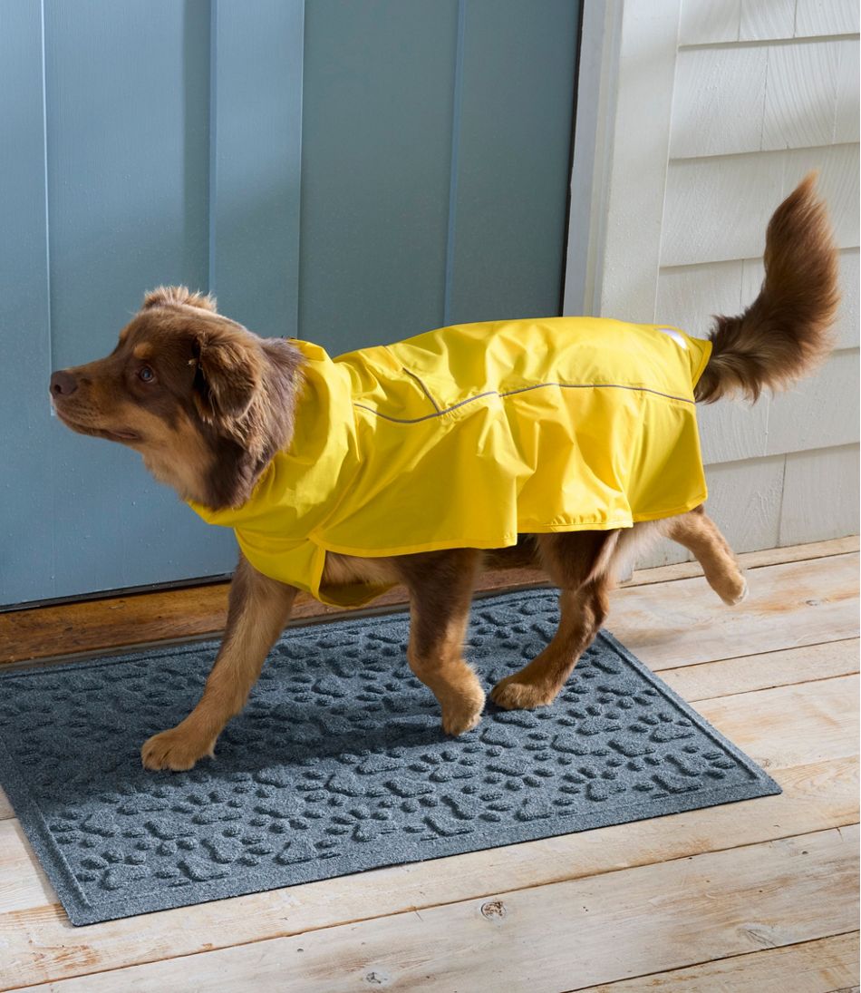 Discovery Dog Rain Jacket - Image 2