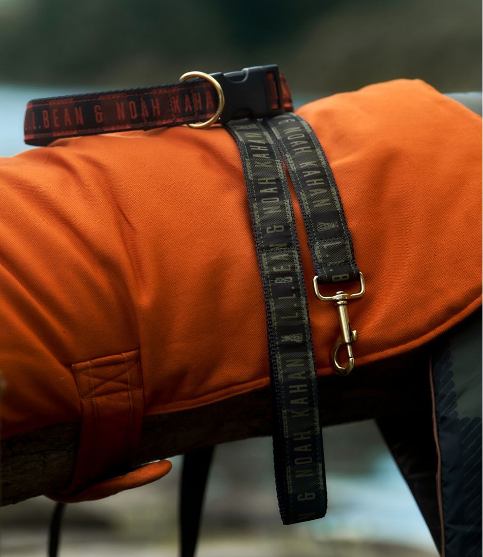 L.L.Bean & Noah Kahan Novelty Dog Collar - Image 2
