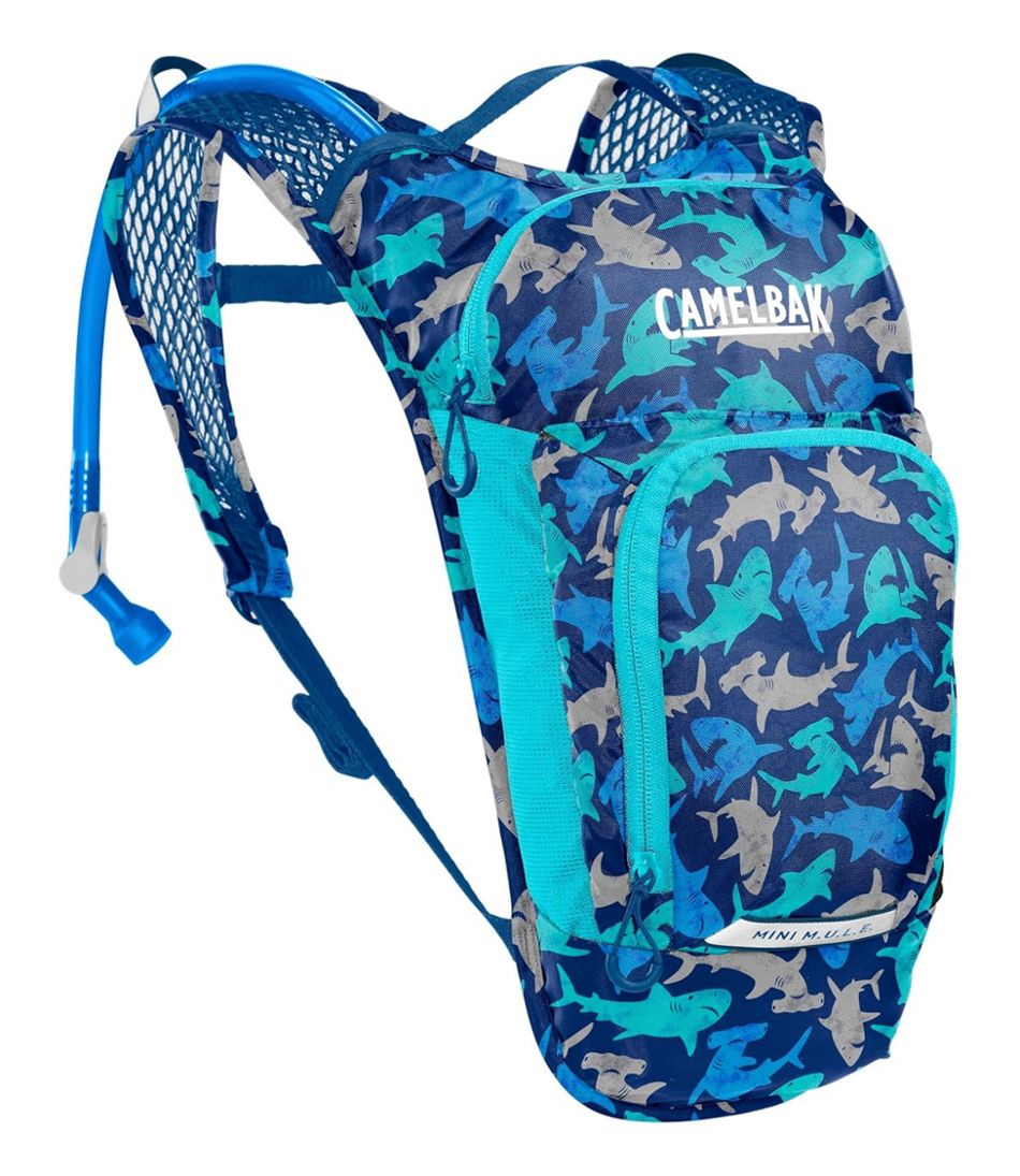 Kids' Camelbak Mini Mule Hydration Pack