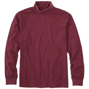 Men's Carefree Unshrinkable Turtleneck