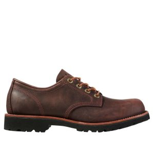 Men's Bucksport Shoes, Plain Toe