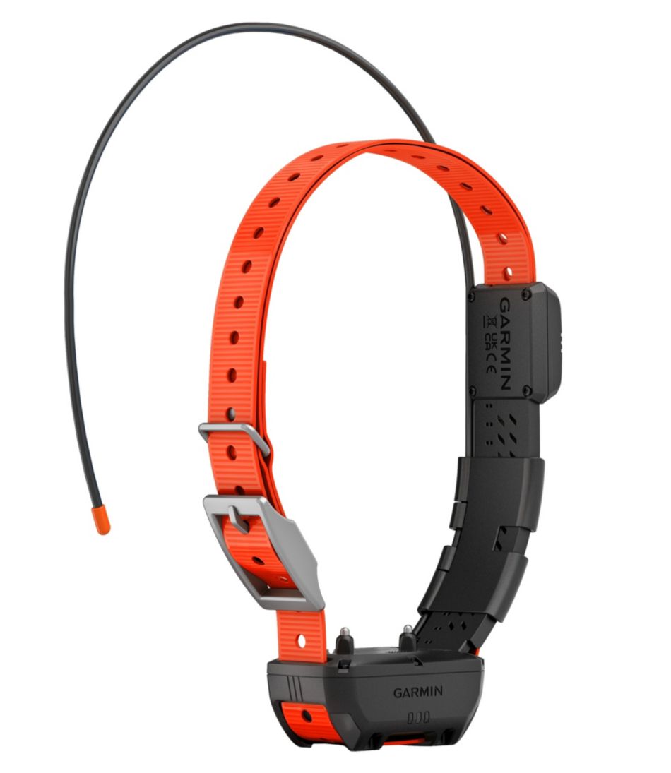 Garmin Alpha TT25 Dog Collar - Image 2