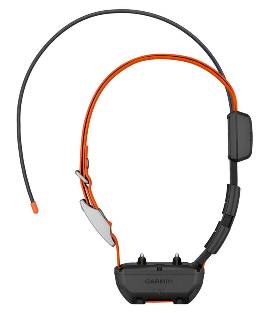 Garmin Alpha TT25 Dog Collar - Image 3
