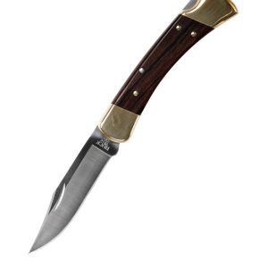 Buck 110 Folding Hunter's Knife