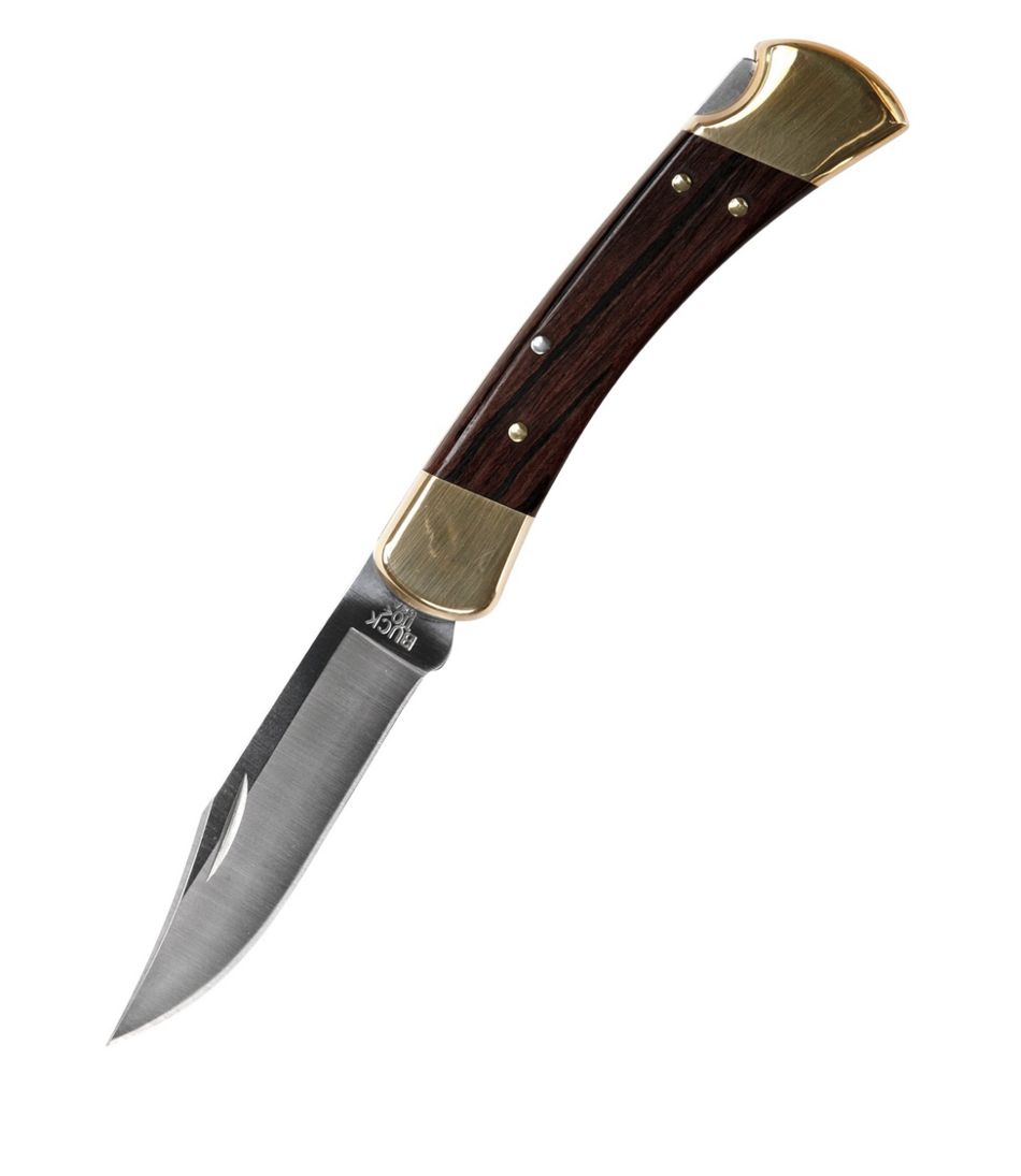 Buck 110 Folding Hunter's Knife