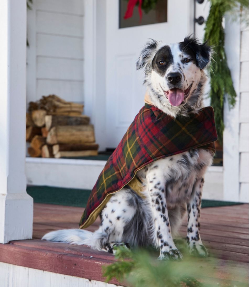 Reversible Field Coat for Dogs - Image 6