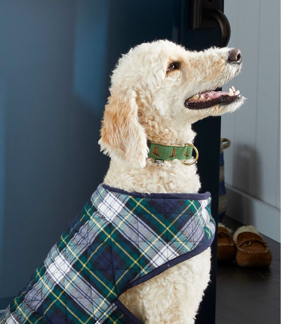 Novelty Dog Collar - Image 2