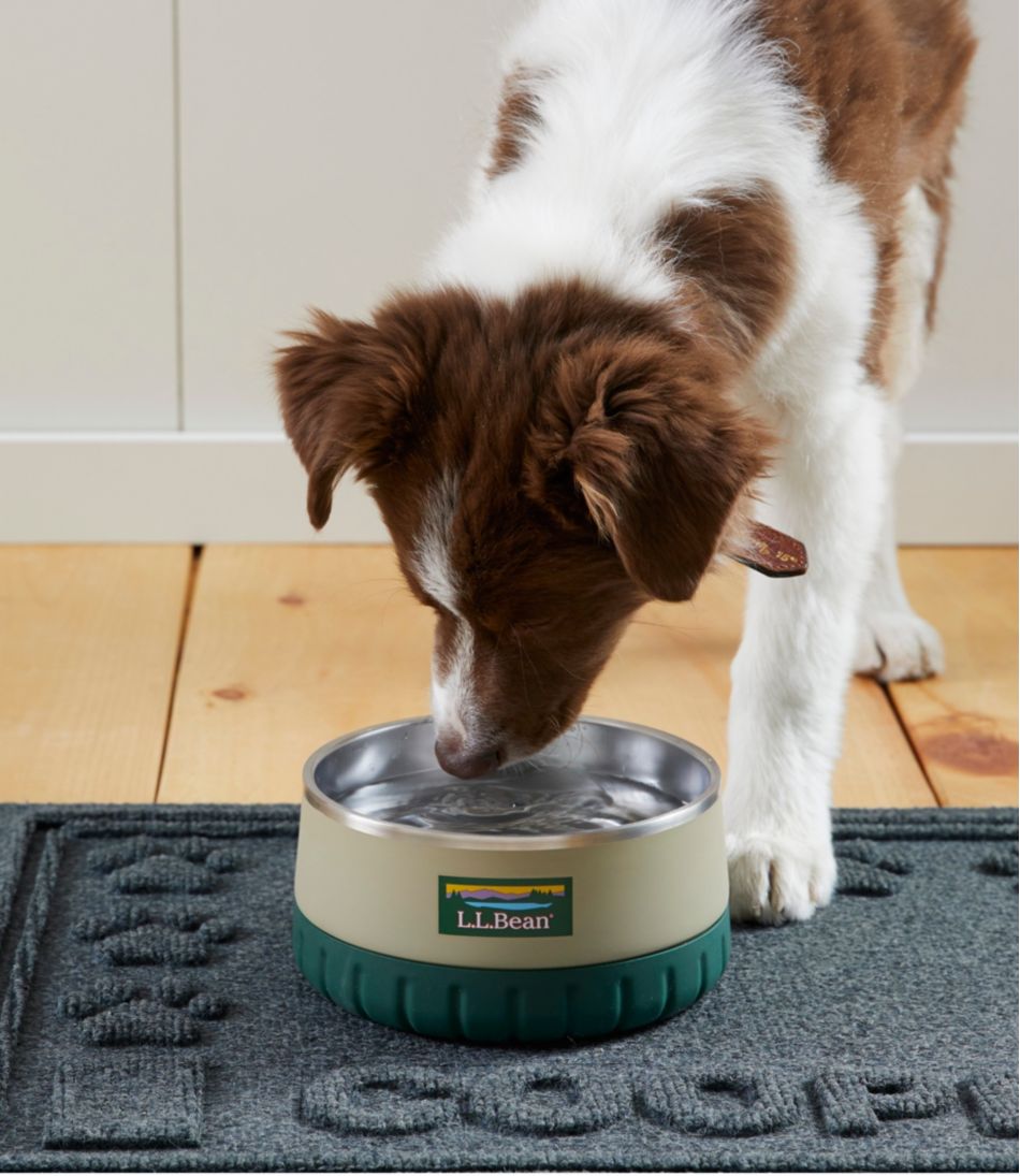 Recycled Waterhog Dog Placemat, Personalized - Image 5