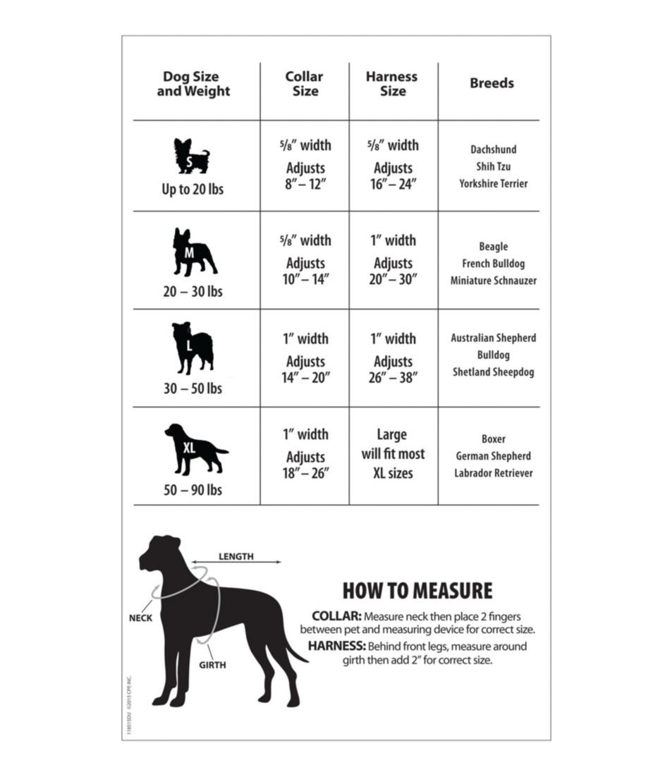Personalized Pet Collar - Image 2