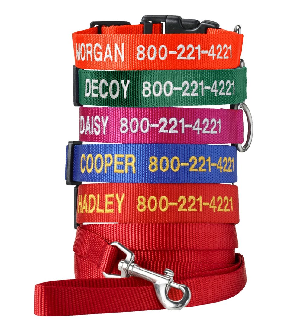 Personalized Pet Collar - Image 3